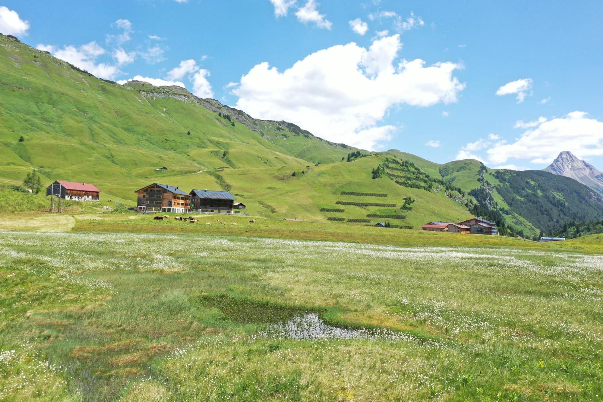 Apart-Wolf-Arlberg Warth  Exterior photo
