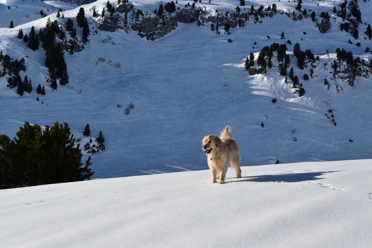 Apart-Wolf-Arlberg Warth  Exterior photo